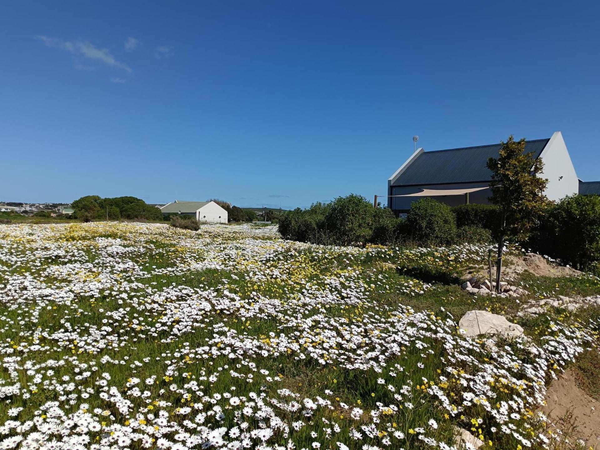 Silver Oaks Airbnb Langebaan Exterior foto